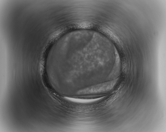 X0000093490736200711020951