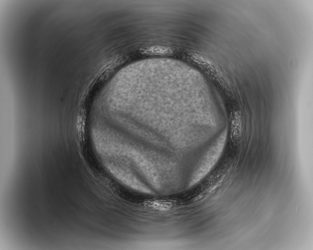 X0000093490739200711020951