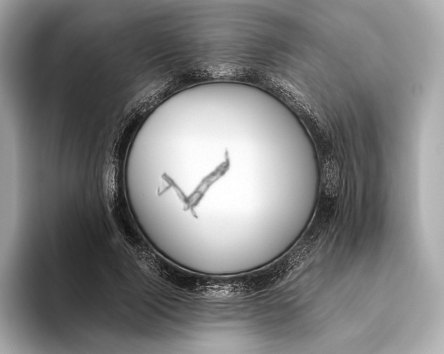 X0000093490740200711020951