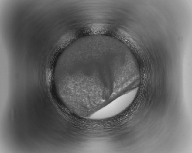 X0000093490742200711020951