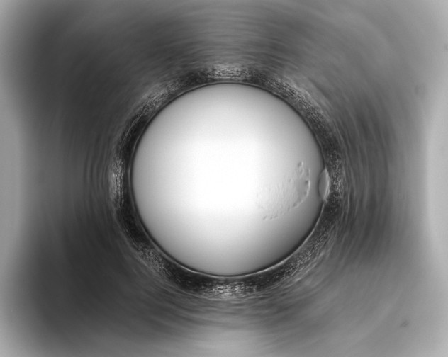 X0000093490744200711020951