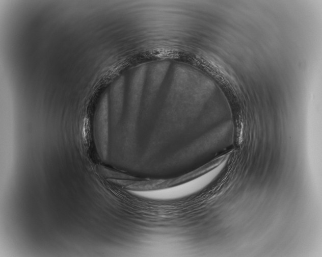 X0000093490748200711020951