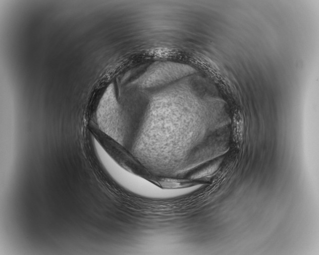 X0000093490750200711020951