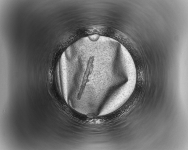 X0000093490751200711020951