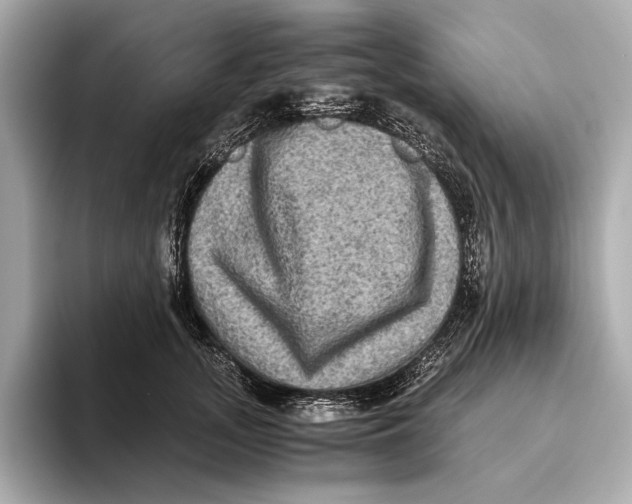 X0000093490755200711020951