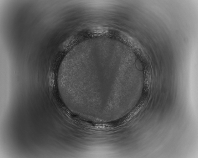 X0000093490758200711020951