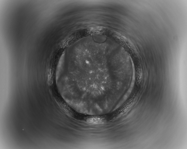 X0000093490759200711020951