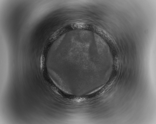 X0000093490760200711020951