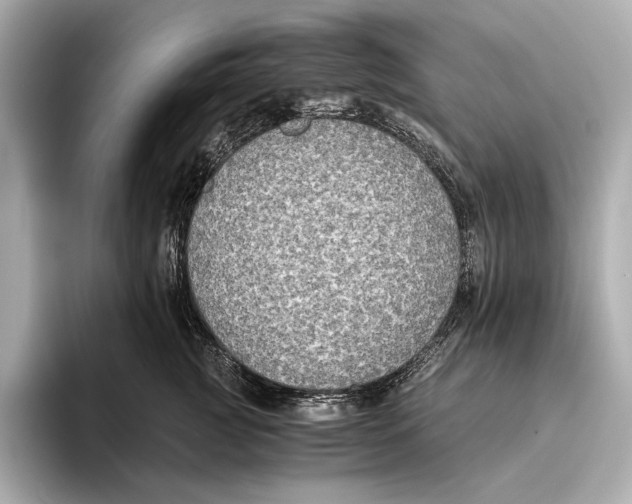 X0000093490761200711020951