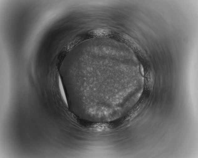 X0000093490762200711020951