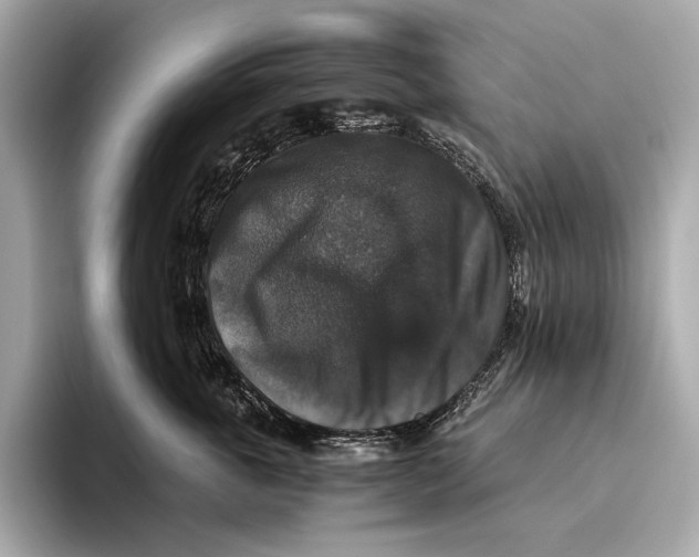 X0000093490763200711020951