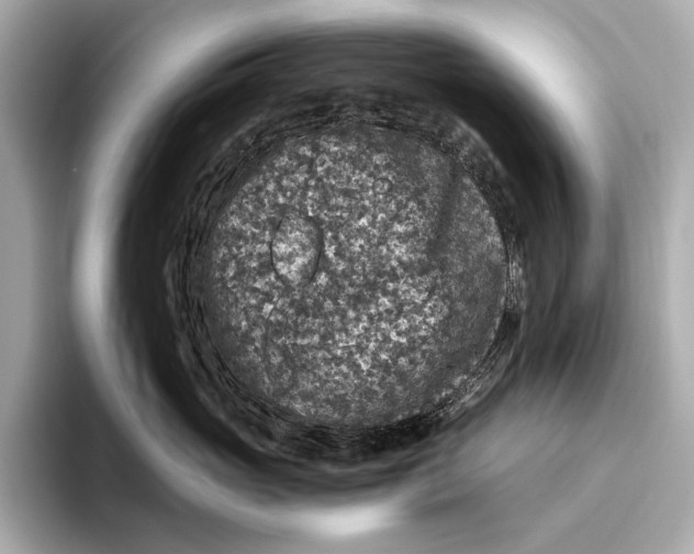 X0000093490765200711020951