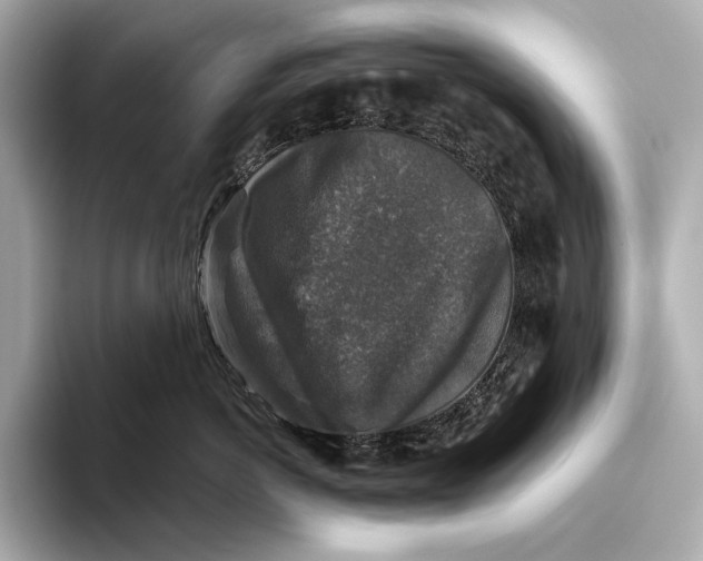 X0000093490766200711020951