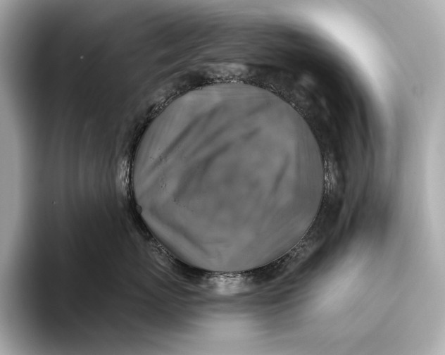 X0000093490767200711020952