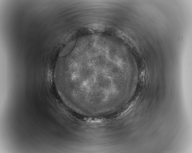 X0000093490772200711020951