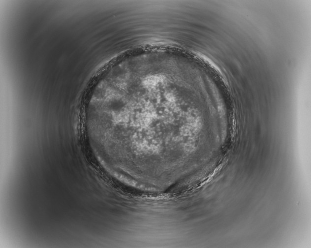 X0000093490775200711020951