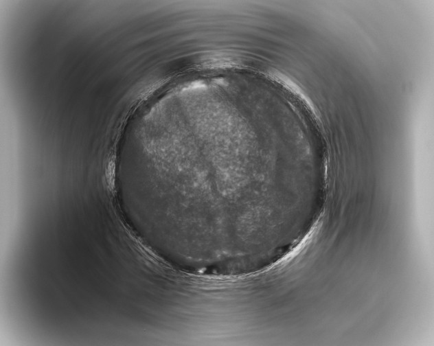 X0000093490777200711020951