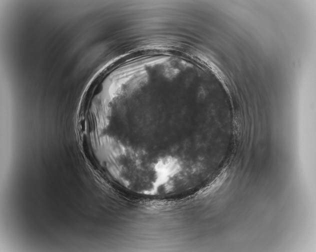 X0000093490779200711020951