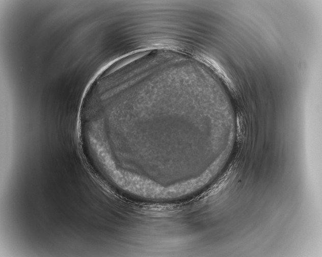 X0000093490780200711020951