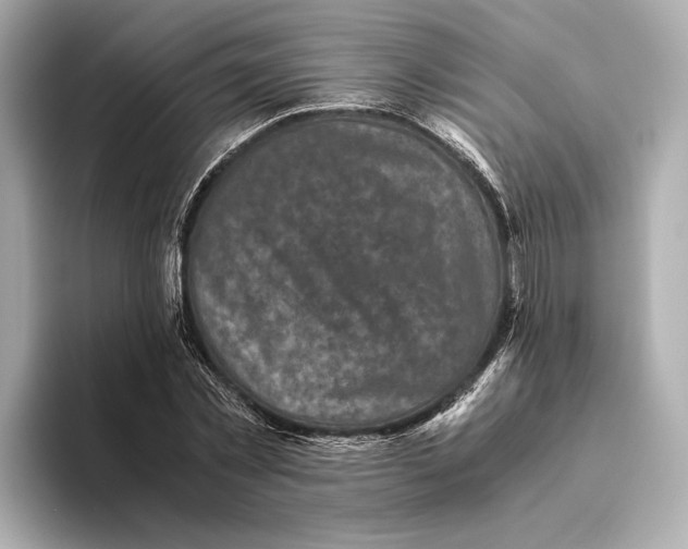 X0000093490781200711020951