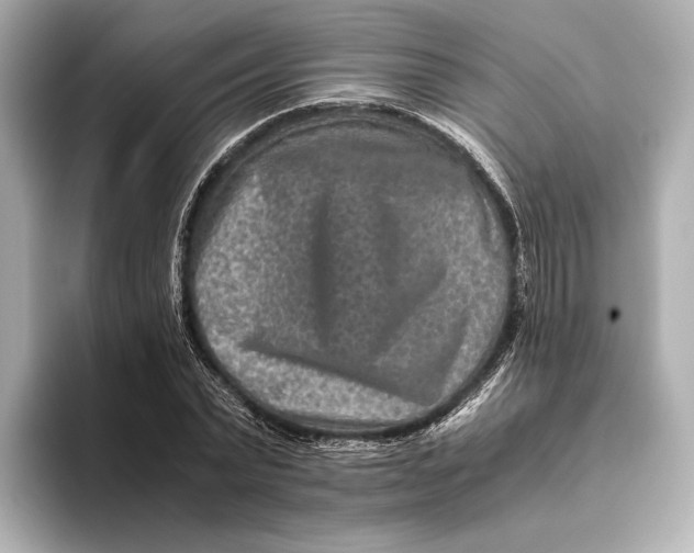 X0000093490783200711020951