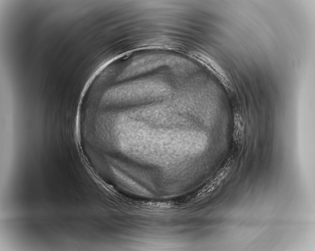 X0000093490788200711020951