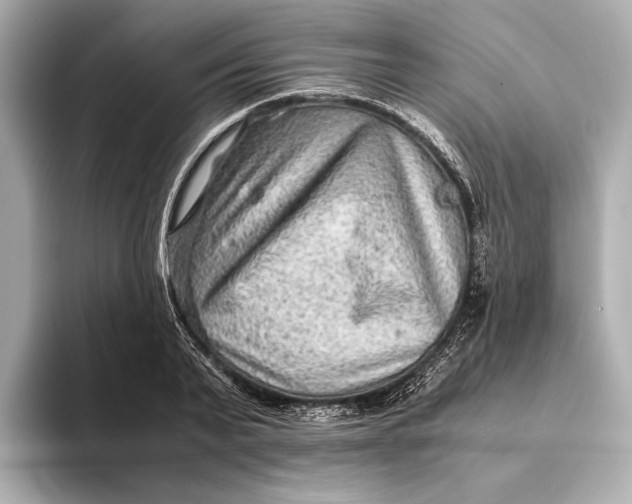 X0000093490791200711020951