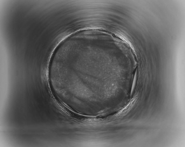 X0000093490797200711020951