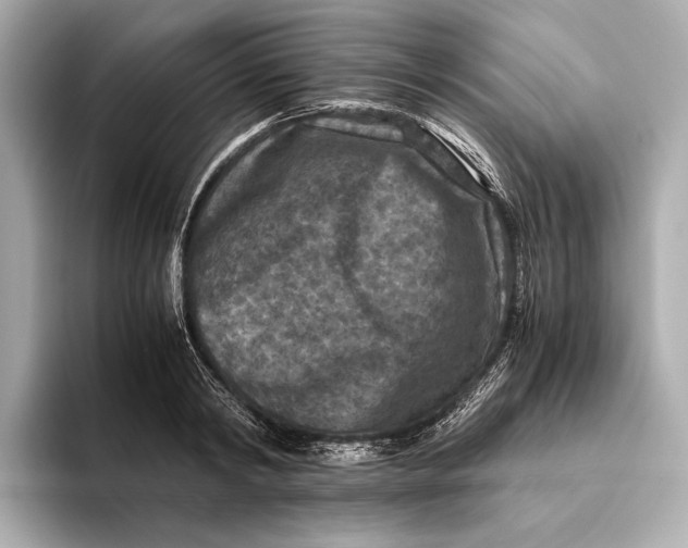 X0000093490798200711020951