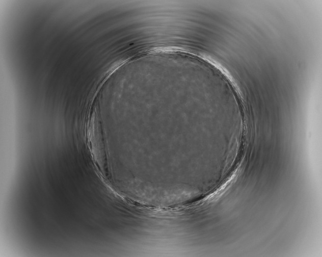 X0000093490809200711020950