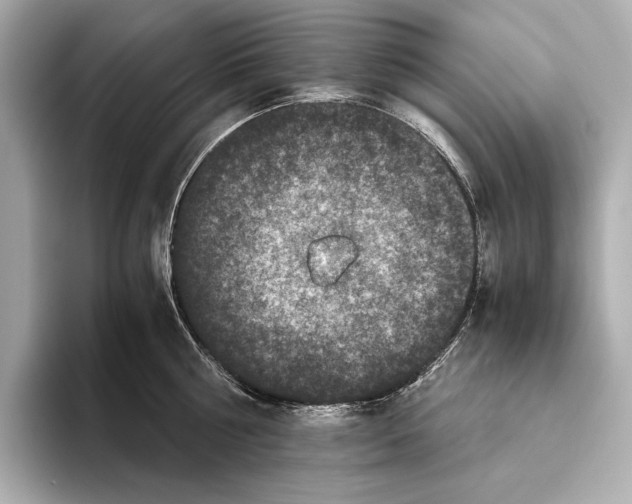 X0000093490810200711020950