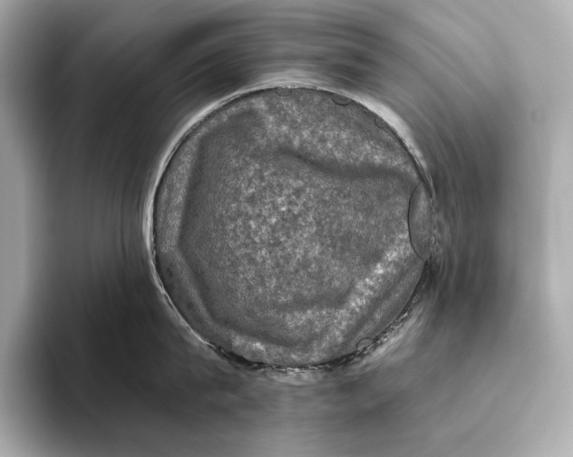 X0000093490815200711020950