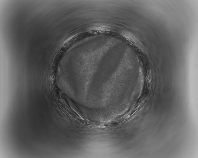 X0000093490822200711020950