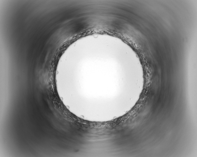 X0000093490824200711020950