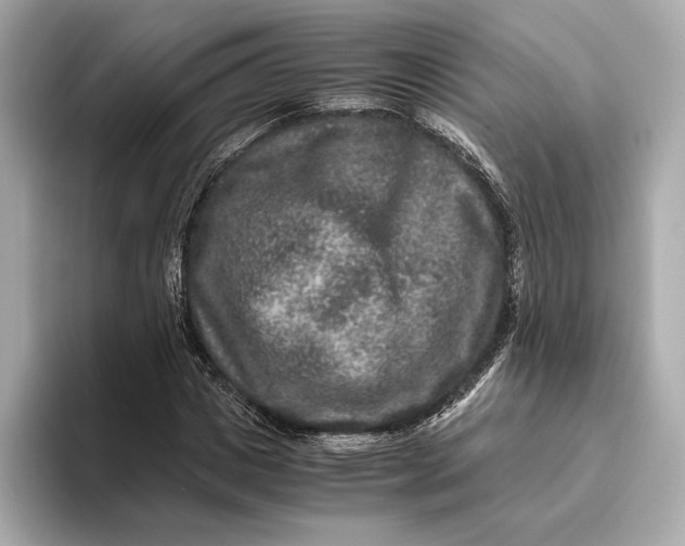 X0000093490825200711020950