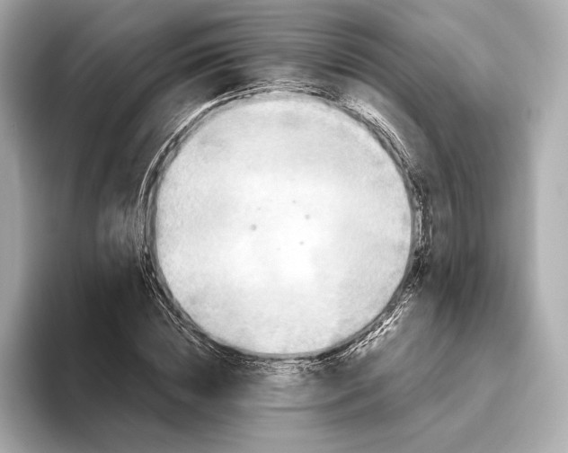 X0000093490828200711020950