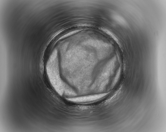 X0000093490829200711020950