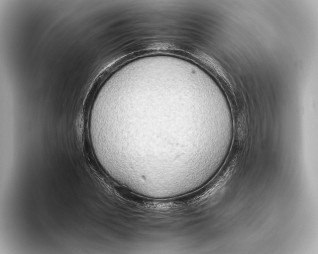 X0000093490831200711020950