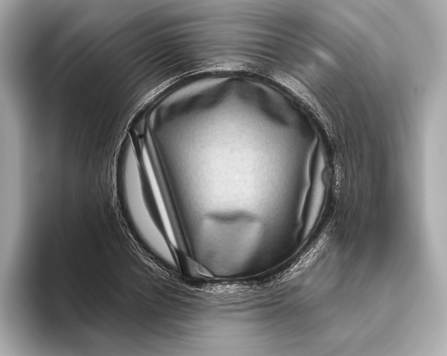 X0000093490834200711020950