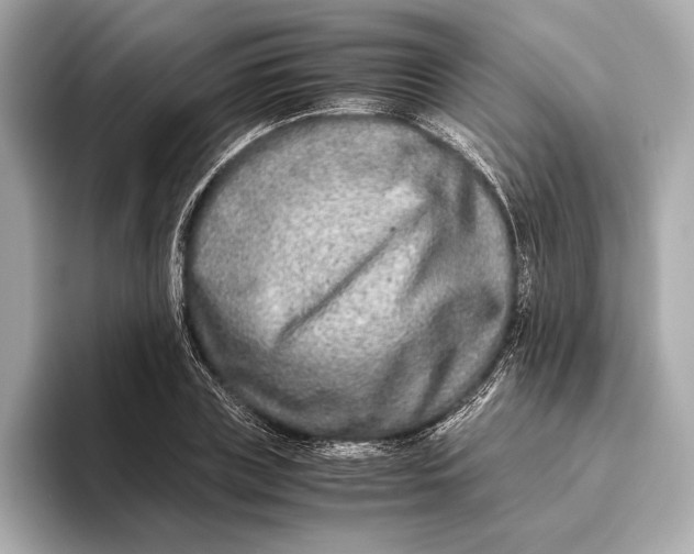 X0000093490835200711020950