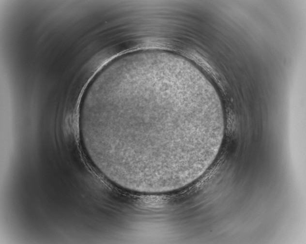 X0000093490836200711020950