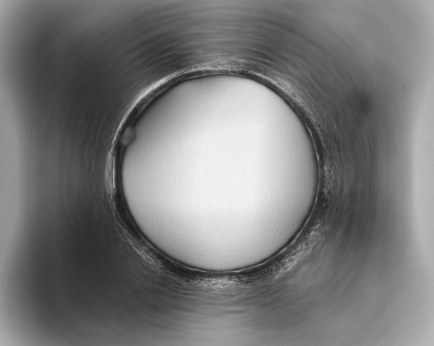 X0000093490838200711020950