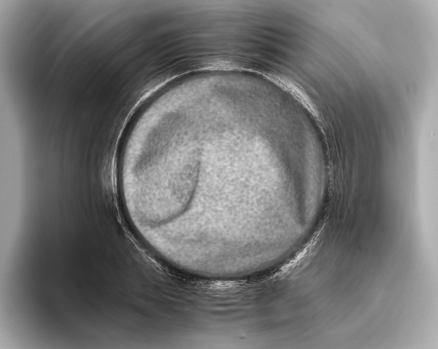 X0000093490839200711020950