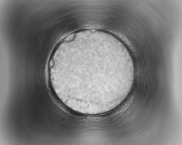 X0000093490840200711020950