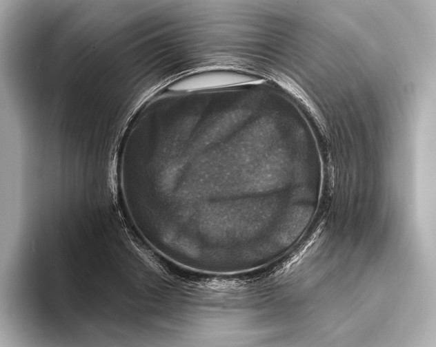 X0000093490842200711020950