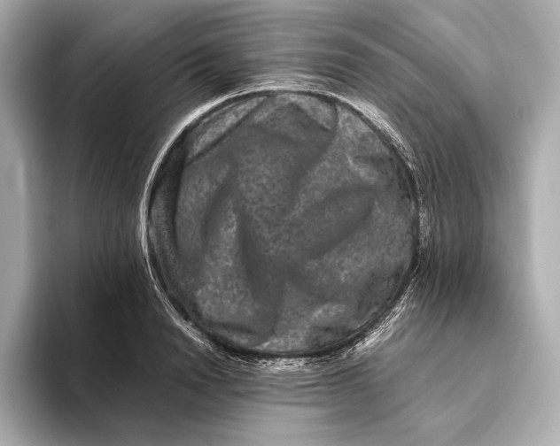 X0000093490846200711020950