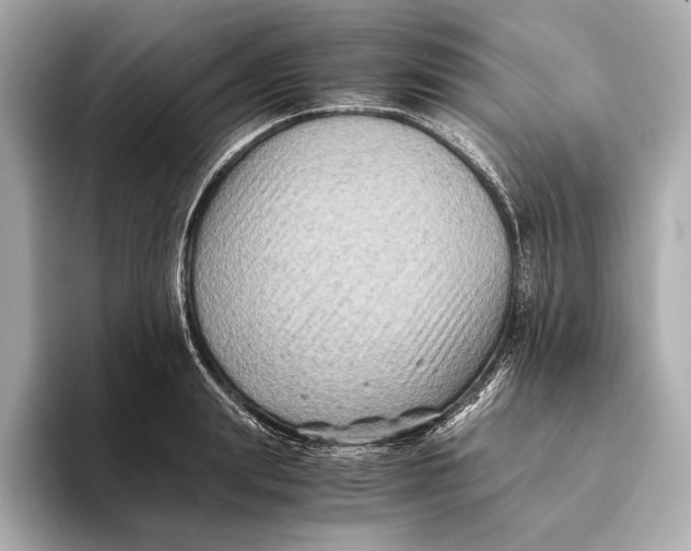 X0000093490847200711020950