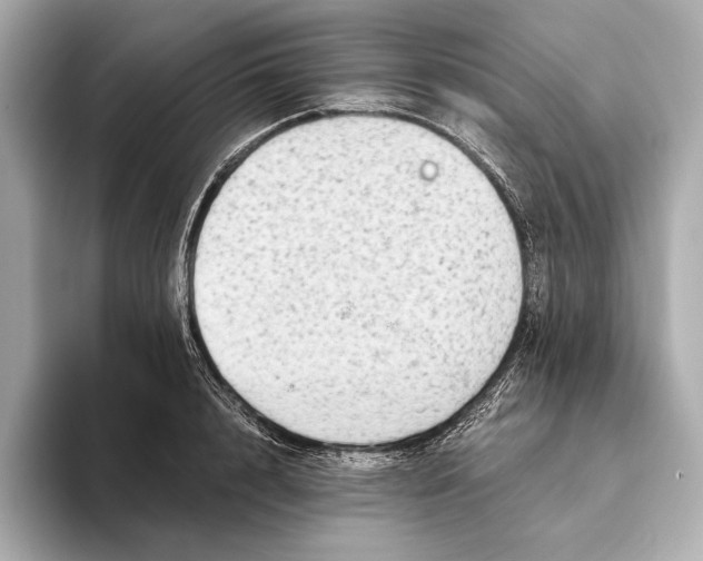 X0000093490848200711020950