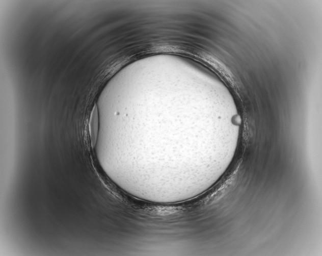 X0000093490849200711020950