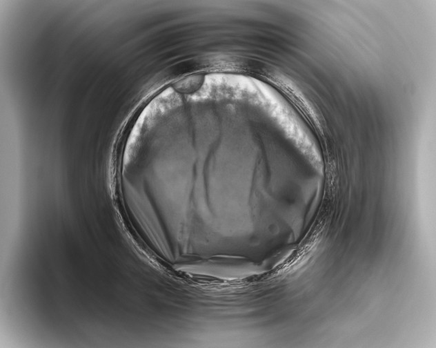 X0000093490851200711020950